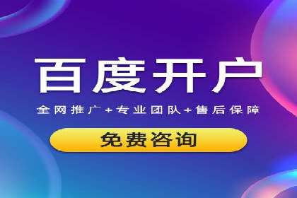 行业领先企业的SEM广告策略与效果分析